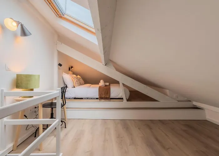 Functional & Equipped Duplex Studio, Old * Lille