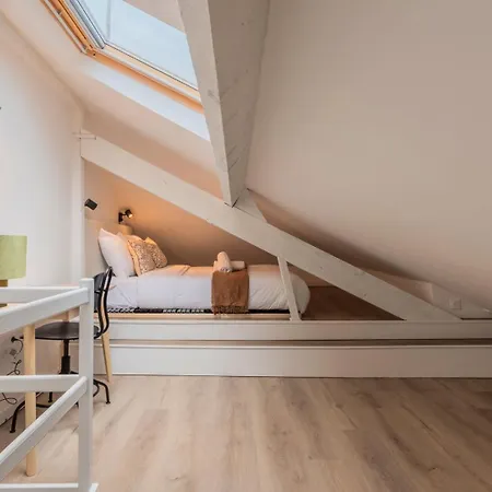 Functional & Equipped Duplex Studio, Old * Lille
