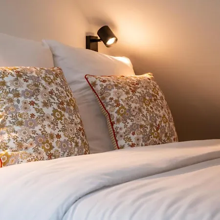 Functional & Equipped Duplex Studio, Old *