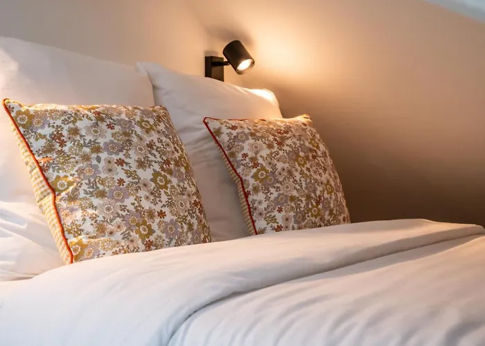 Functional & Equipped Duplex Studio, Old *