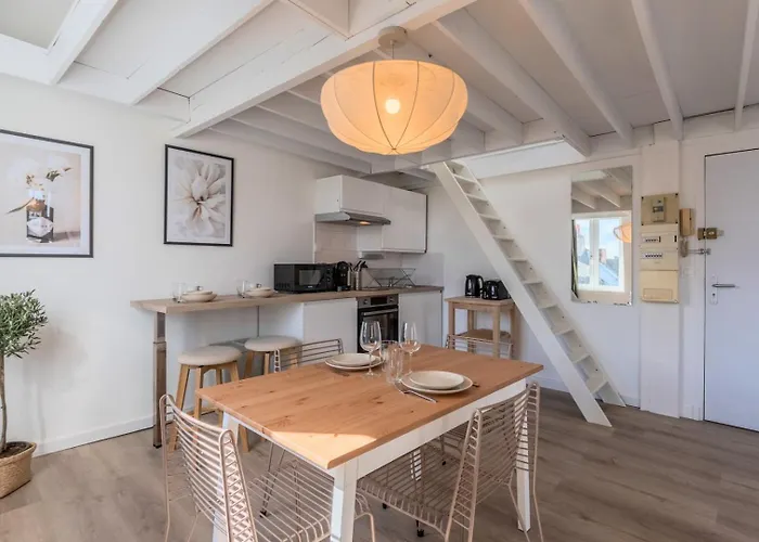 Functional & Equipped Duplex Studio, Old * Lille