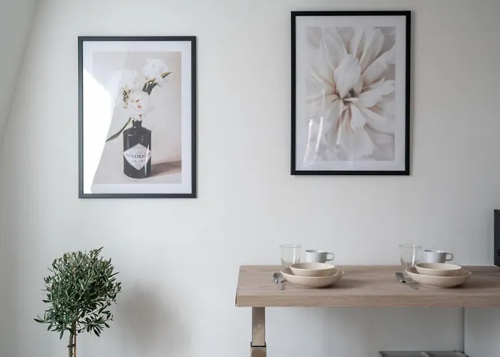 Apartment Functional & Equipped Duplex Studio, Old